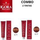 COMBO 2 TINTAS IGORA 6-77 (louro escuro cobre extra)