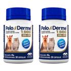 Combo 2 Unidades Pelo e Derme 1500 mg 30 comp. Suplemento Cães e Gatos - Vetnil