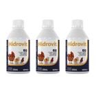 Combo 3 unidades Hidrovit Suplemento Vetnil para Aves - 250 ml