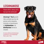 Combo Advantage Max3 Antipulgas Para Cães De 10 A 25kg - Elanco