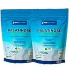 Combo Pré Treino 2 Palatinose 1Kg NewNutrition Isomaltulose Liberação Prolongada da Glicose/Energia