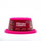 Comedouro de Postura Correta para Gatos Rosa