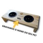 Comedouro Duplo Pet Bebedouro Cachorro Gato Elevado 2 Pote