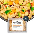 Comida fresca congelada para cães JustFood ForDogs Turkey 532 ml (x7) - JustFoodForDogs