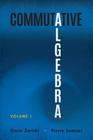 Commutative algebra - vol. 1
