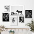 Composição 6 Quadros Fotografias Zebras- Preto E Marrom