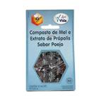 Composto de Mel e Extrato de Própolis Sabor Poejo Apis Vida 40g