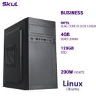 Computador B300 Dual Core I3 3220 3.30Ghz Memória 4Gb Ddr3 - Skul