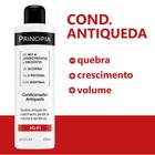 Condicionador Antiqueda Principia AQ-01 com 250ml - Cosmo Indústria