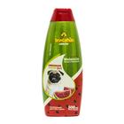 Condicionador Brincalhão para Cachorro Melancia 500ml