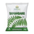 Condicionador de Solo Para Samambaias Vitaplan 2kg