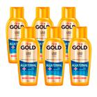 Condicionador de Tratamento Niely Gold Liso Pleno Água Termal Flor de Hibisco 175ml (Kit com 6)