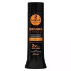 Condicionador Encorpa Cabelo Haskell 300Ml