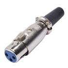 Conector Cannon de Microfone Fêmea com Prensa
