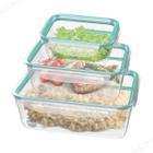 Conjunto 3 Potes Plástico Marmita Salada Freezer Micro Hermético Sanremo