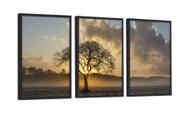 Conjunto 3 Quadros Decorativos Árvore Seca Por do Sol Nuvem 40X60CM Com Vidro