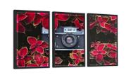 Conjunto 3 Quadros Decorativos Câmera Fotográfica Flores Com Vidro 40X60CM