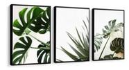 Conjunto 5 Quadros Decorativos Folhagem Verde"