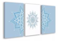 Conjunto 5 Quadros Decorativos Mandala Color Premium"