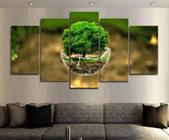 Conjunto 5 Quadros Direito Natureza "