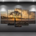 Conjunto 5 Quadros Nascer Do Sol Paisagens Natureza"