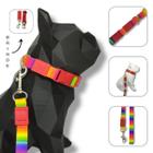 Conjunto coleira, guia e cinto para cachorro - Modelo Arco Íris
