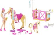 Conjunto de brinquedos Barbie Groom 'n Care Horse com boneca loira e 2 cavalos