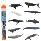 Conjunto de estatuetas Safari Ltd. Whale TOOB com 10 figuras de 6 a 10 cm 3+