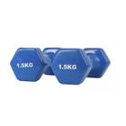 Conjunto de halteres hexagonais de 1,5 kg x2 em aço antiderrapante azul - Lightbek Official Store