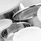 Conjunto De Potes Bowls Em Inox 5 Peças Alta Qualidade - Caprocho