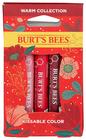 Conjunto de presentes Burt's Bees Warm Kissable Color para cuidados com o corpo