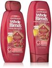 Conjunto de shampoo e condicionador Garnier Whole Blends Color Care