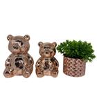 Conjunto decorativo urso de cerâmica e vaso de vidro rose