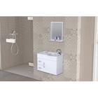 Conjunto Gabinete de Banheiro Suspenso 55cm 2 Gavetas e 1 Porta com Cuba e Espelheira Siena Aj Rorat