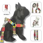 Conjunto peitoral, guia e cinto para cachorro - Modelo Afrika