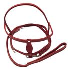 Conjunto Peitoral para Cães Grande Porte em Couro Forrado Nr08