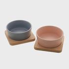 Conjunto Petisqueira C/ 2 Bandejas de Bambu e 2 Potes 10x10