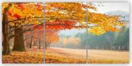 Conjunto Quadro Decorativo Bosque De Outono "