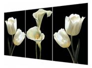 Conjunto Quadro Flor De Copo De Leite "