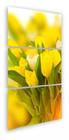 Conjunto Quadro Vaso Tulipas Amarelas Flores"