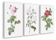 conjunto quadros Rosas Decoração Delicada"