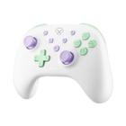 Controlador Sem Fio Aolion para Nintendo Switch - Compatível com OLED, Lite e PC - Função Turbo