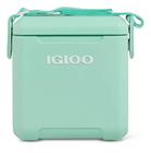 Cooler Caixa Térmica Shoulder 10 L 32x33x23cm Verde - Igloo