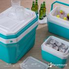 Cooler Para Bebidas 17 Litros Caixa térmica Cor Verde