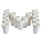 Copos de papel compostáveis e biodegradáveis de 300 ml Maytree, pacote com 10