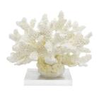 Coral 30cm Branca Base Acrilica Branca - LUXdécor