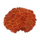 Coral Decorativo 45cm Redondo Vermelho Relevos