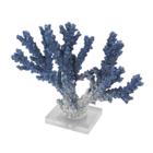 Coral Decorativo Azul degrade Brancoc Base