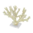 Coral Decorativo realista Branco c Base Trasnp.