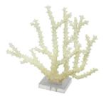 Coral Decorativo Resina Branca 27cm Belissimo